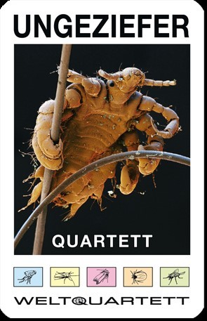 Quartett: Ungeziefer